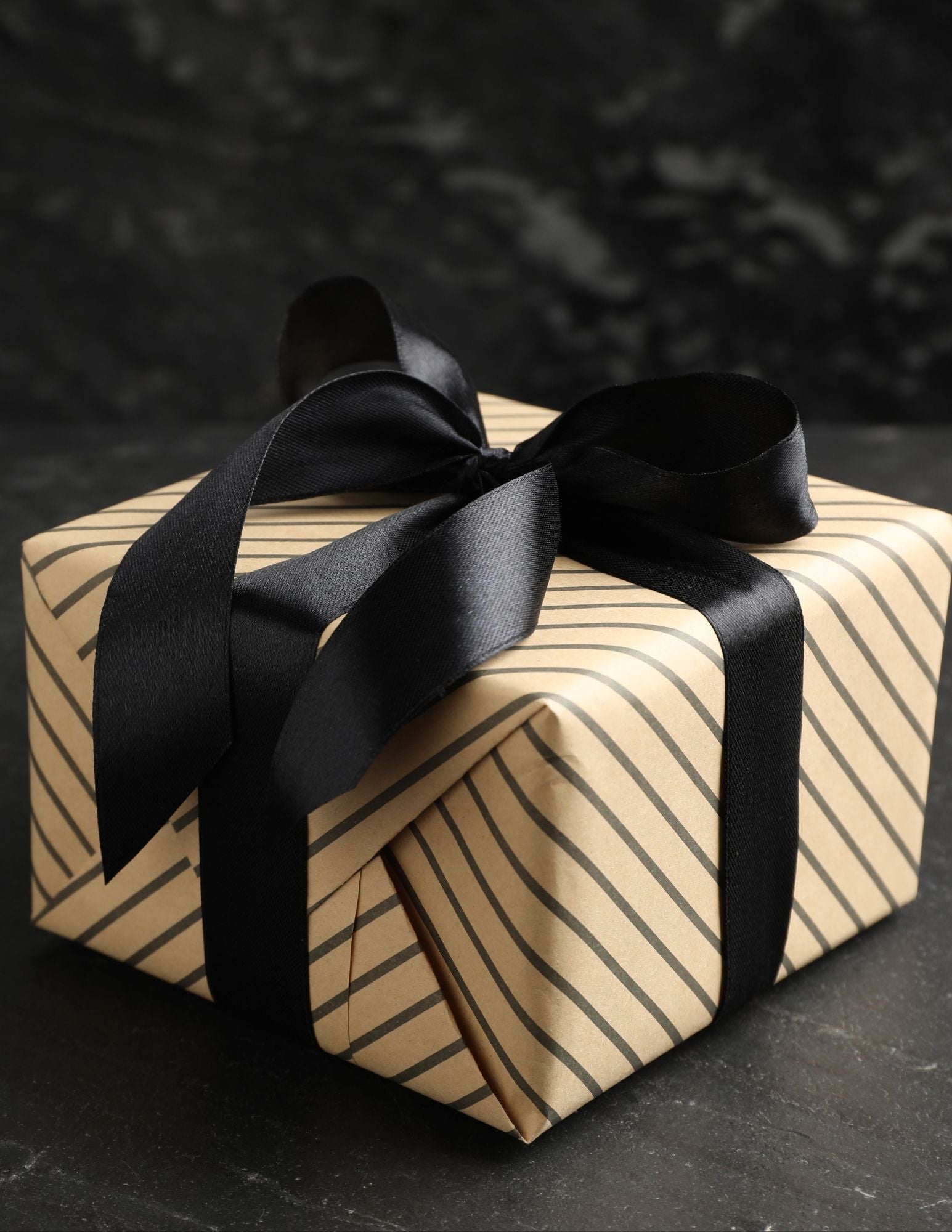 Blind Book Box : Large